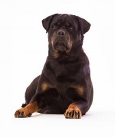 /album/fenykepgaleria/a10407996-10152996030444506-2444423722762210132-n-jpg/