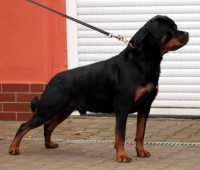 /album/fenykepgaleria/rot13-jpg/