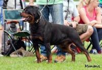 /album/fenykepgaleria/rot14-jpg/