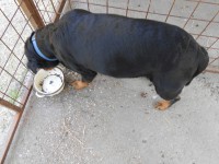 /album/fenykepgaleria/dscn3327-jpg/