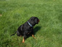 /album/fenykepgaleria/dscn3330-jpg/