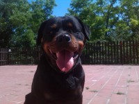 /album/fenykepgaleria/aida-terasz-jpg/