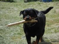 /album/fenykepgaleria/dscn3393-jpg/