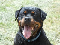 /album/fenykepgaleria/dscn3394-jpg/