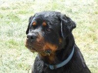 /album/fenykepgaleria/dscn3395-jpg/