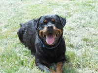 /album/fenykepgaleria/dscn3404-jpg/