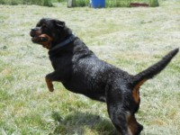 /album/fenykepgaleria/dscn3405-jpg/