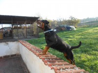 /album/fenykepgaleria/dscn4527-jpg/