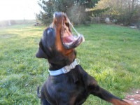 /album/fenykepgaleria/dscn4547-jpg/