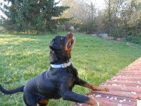 /album/fenykepgaleria/dscn4551-jpg/